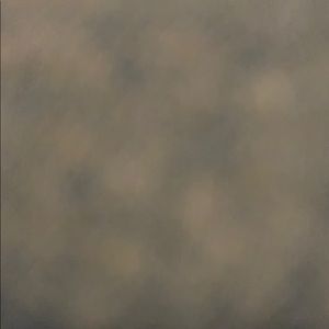 Meet your Posher, Taurus